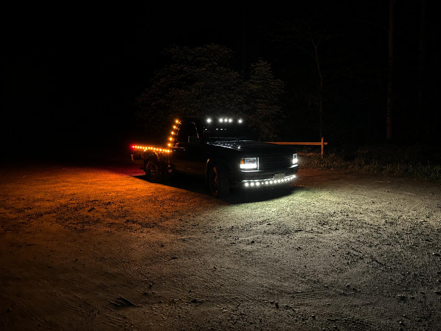 Shaggy build photo 2