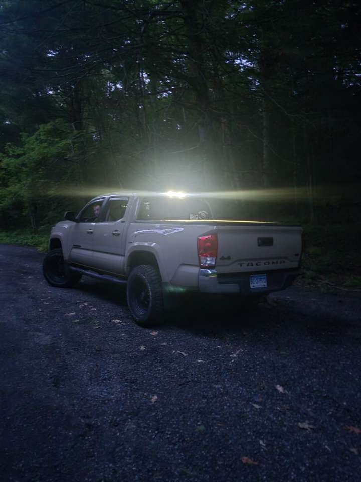 Frank build photo 3