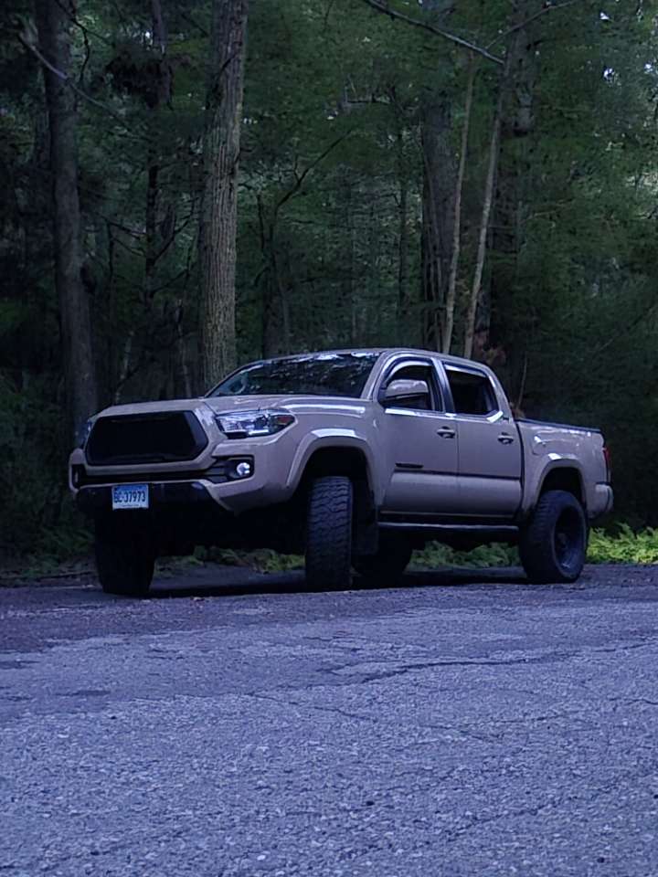 Frank build photo 2