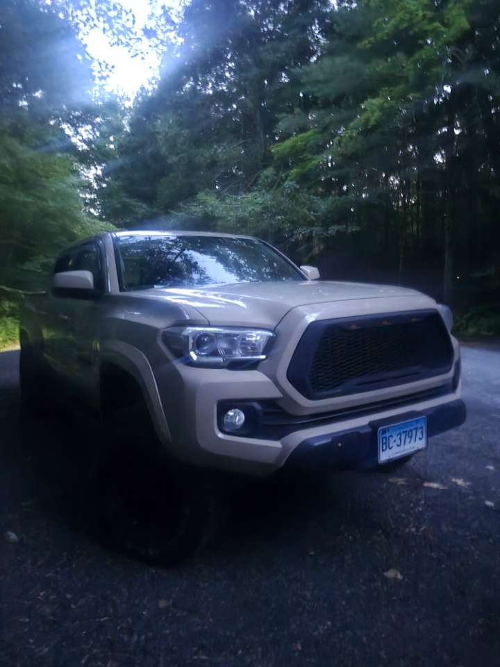Frank build photo 4