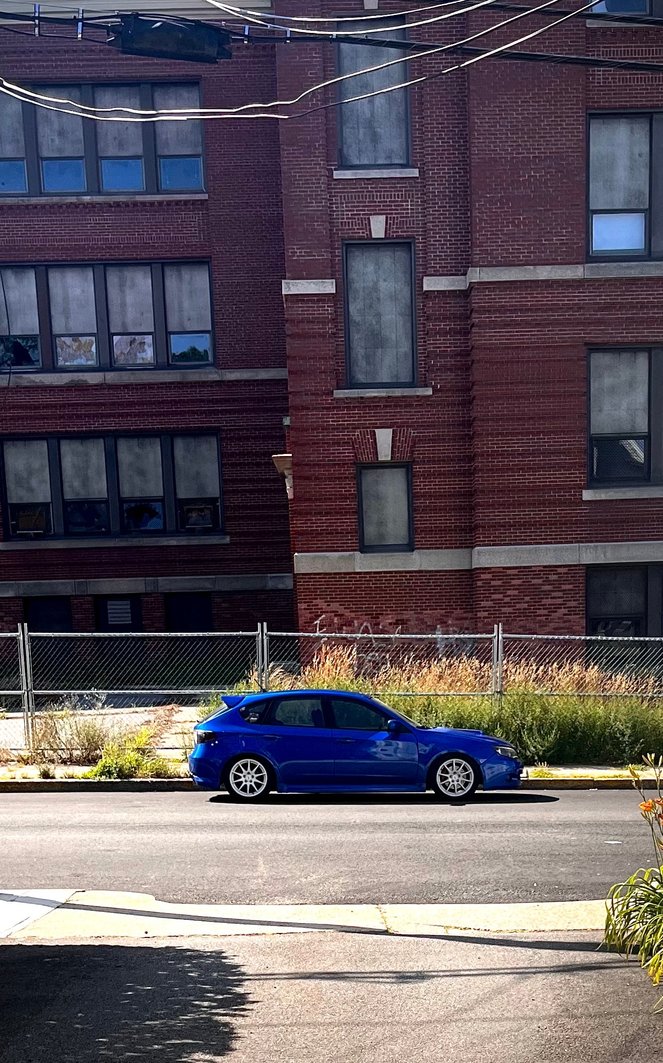 Subiemush build photo 4